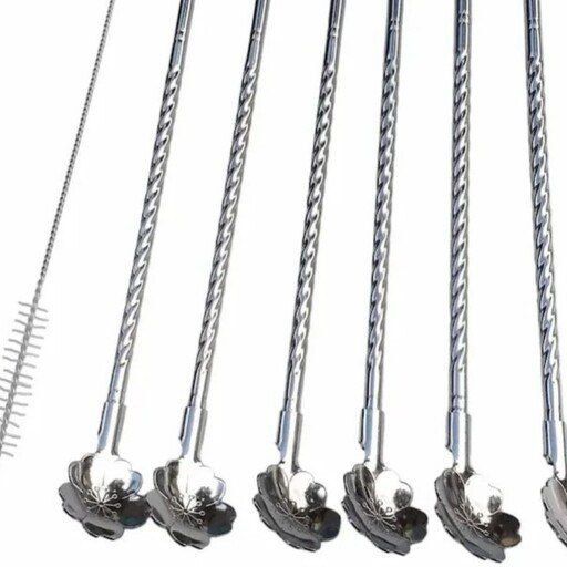 طقم معلقة كوكتيل بالشاليموه استانلس ٢ في ١ عدد ٦ معالق مع فرشة تنظيف